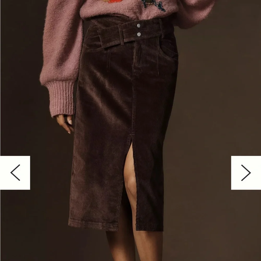 Anthropologie Taupe Skirt - Picture 2 of 3